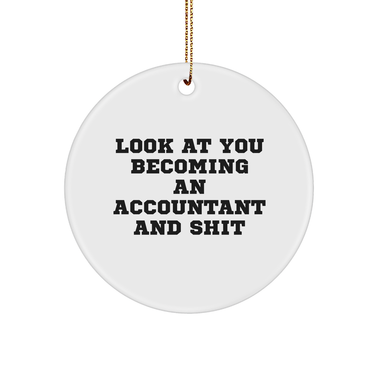 Funny Accountant Gifts, 'Look At You Becoming An Accountant And Shit' Circle Ornament, Christmas Unique Gifts from Friends, Coworkers, Family - Image 1
