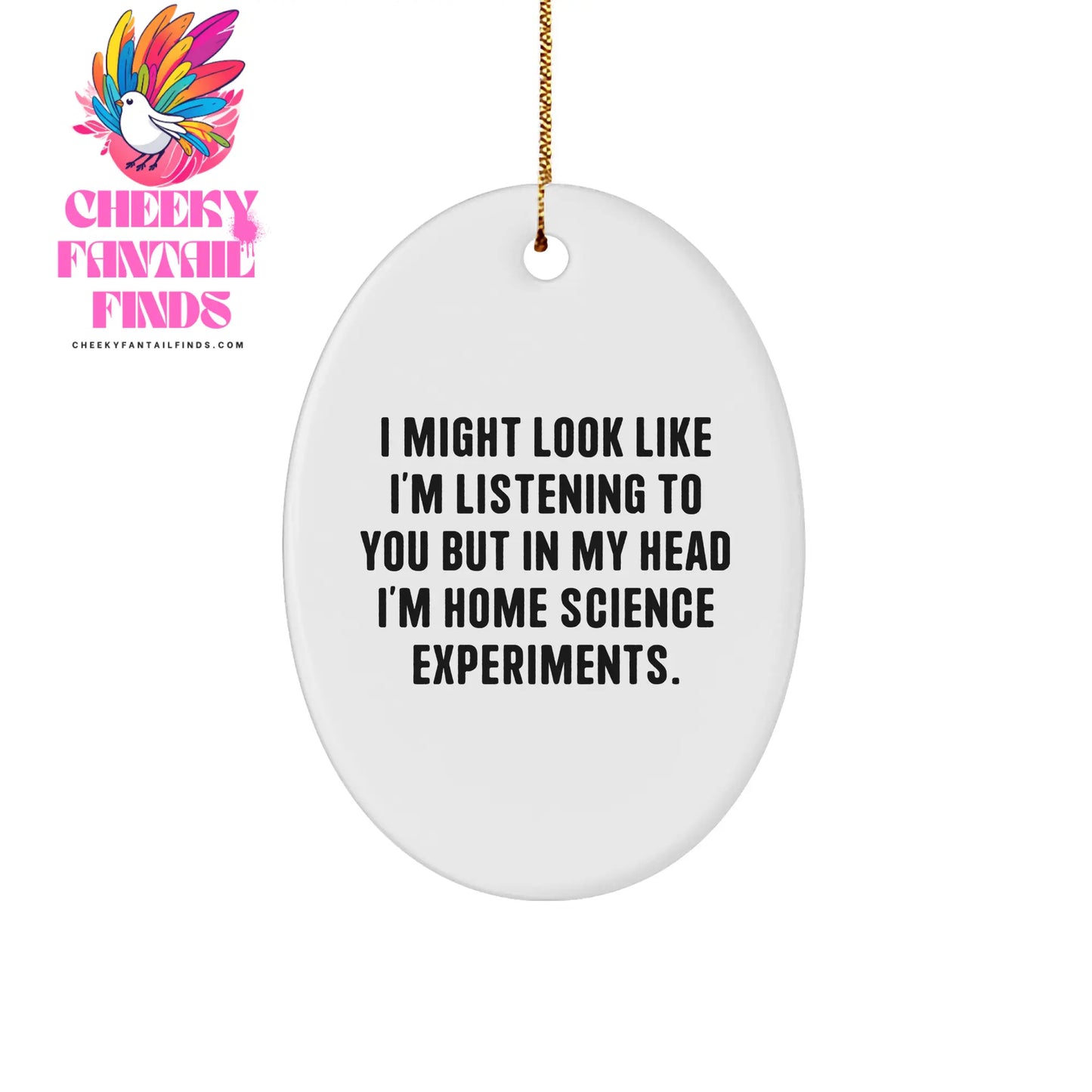 Funny Home Science Experiments Oval Ornament Gifts: Unique Christmas Memorable Presents from Loved Ones for Home Science Experiment Enthusiasts - Image 1