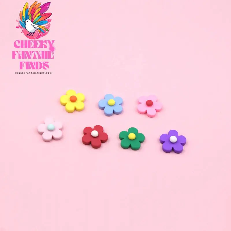 Hole Shoes Shoe Flower Decoration Accessories Cheeky Fantail Finds