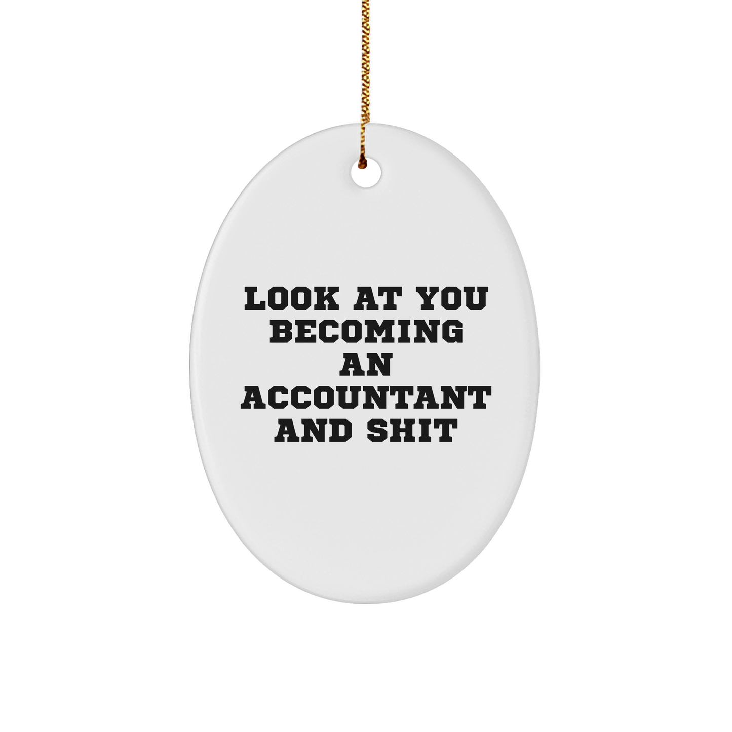 Funny Accountant Gifts for Him or Her, Oval Ornament with 'Look At You Becoming An Accountant And Shit' Quote, Gifts from Friends or Family, Christmas Unique Gifts - Image 1