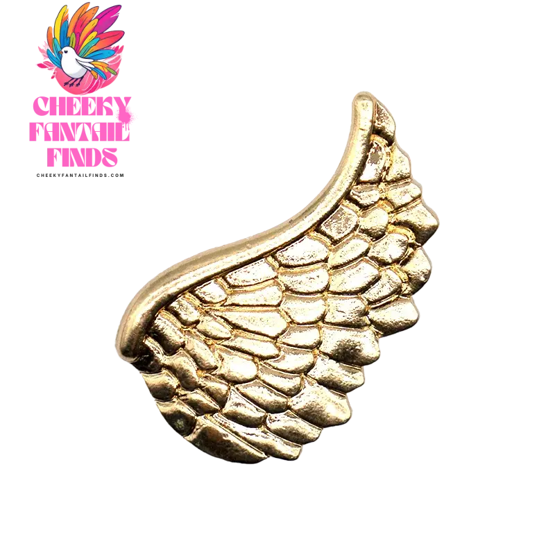 1/20PCS Golden Metal Shoe Charms Bling Metal Pin Wing Luxury Style Jewelry Shoe Accessories Fashion Women Men Shoe Buckle Decor - Cheeky Fantail Finds