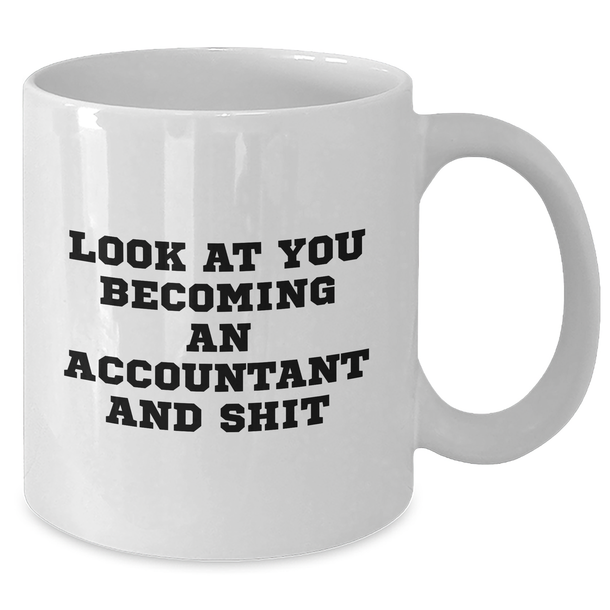 Funny Accountant Gifts for Him or Her, 'Look At You Becoming An Accountant And Shit' White Coffee Mug, Father's Day Unique Gifts from Family to Men - Additional