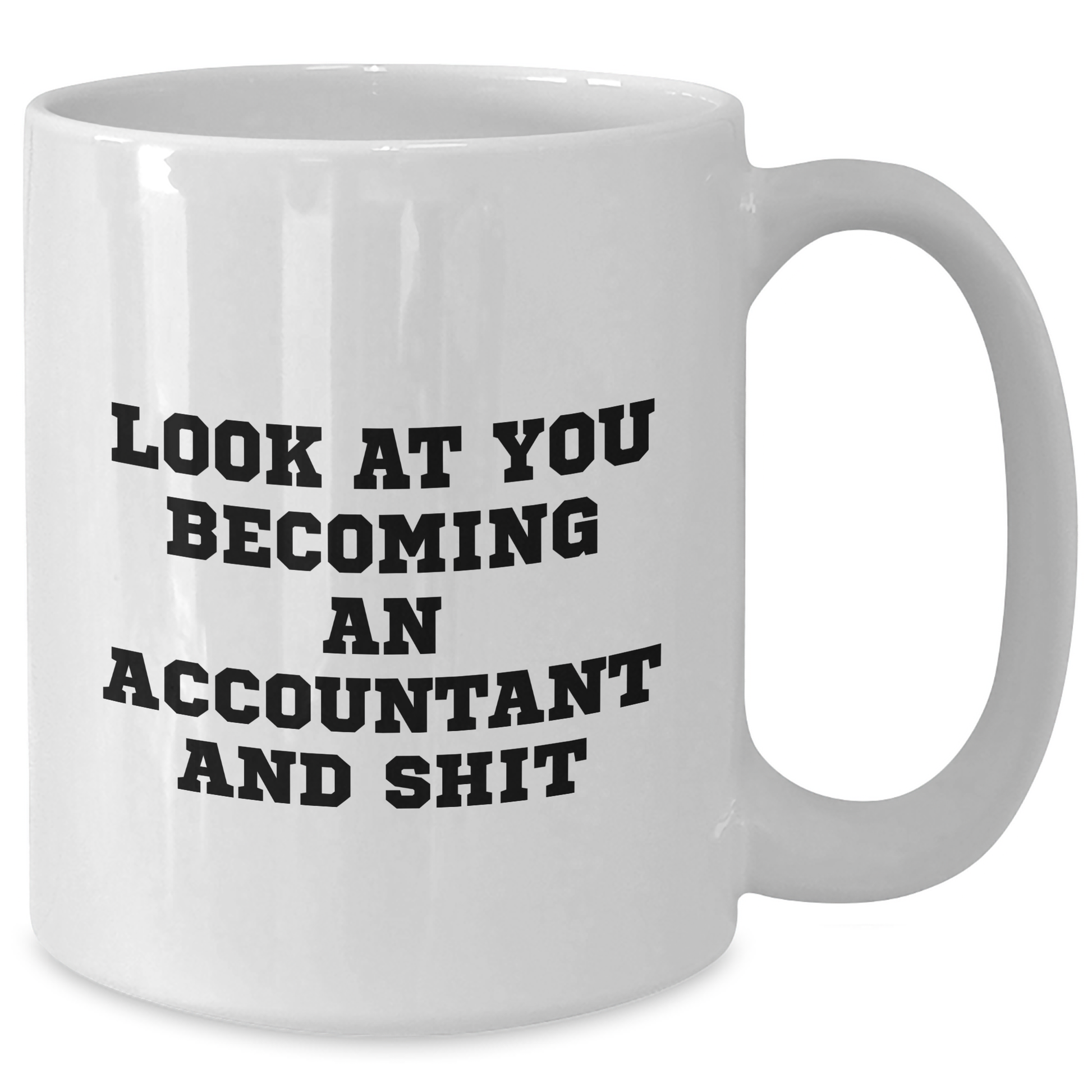 Funny Accountant Gifts for Him or Her, 'Look At You Becoming An Accountant And Shit' White Coffee Mug, Father's Day Unique Gifts from Family to Men - Additional