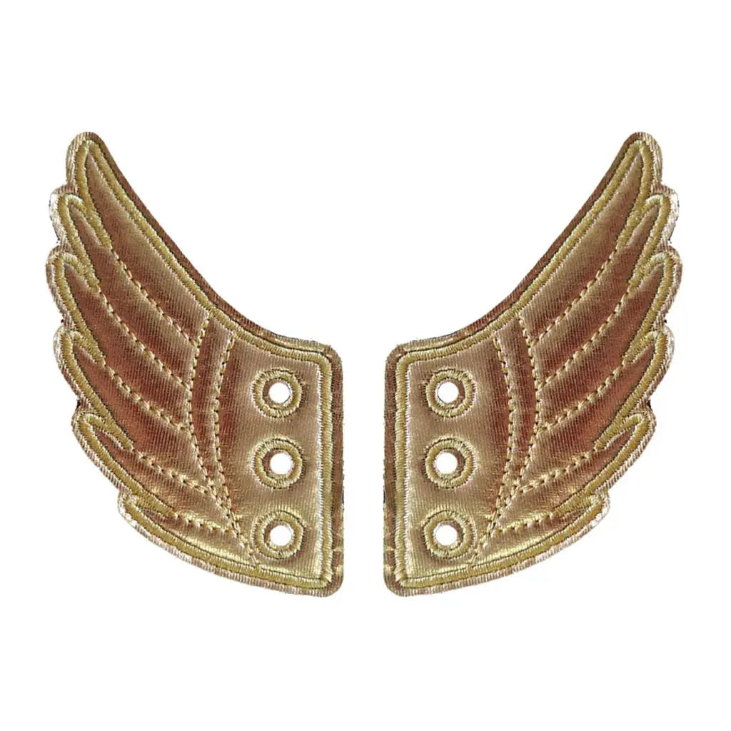 2 Pcs Women Mens Shoes Angel Wings Accessories Shiny Charm Wings for Sneakers Cheeky Fantail Finds
