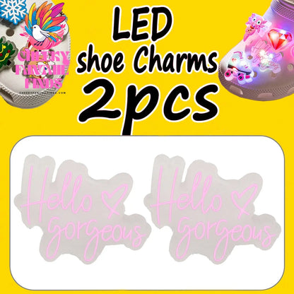 2PCS LED Pins for Kids Lighted Shoe Charms Animals Game Controller Shoe Accessories Duck Cat Decoration Buckle Girl Boy Ornament Cheeky Fantail Finds