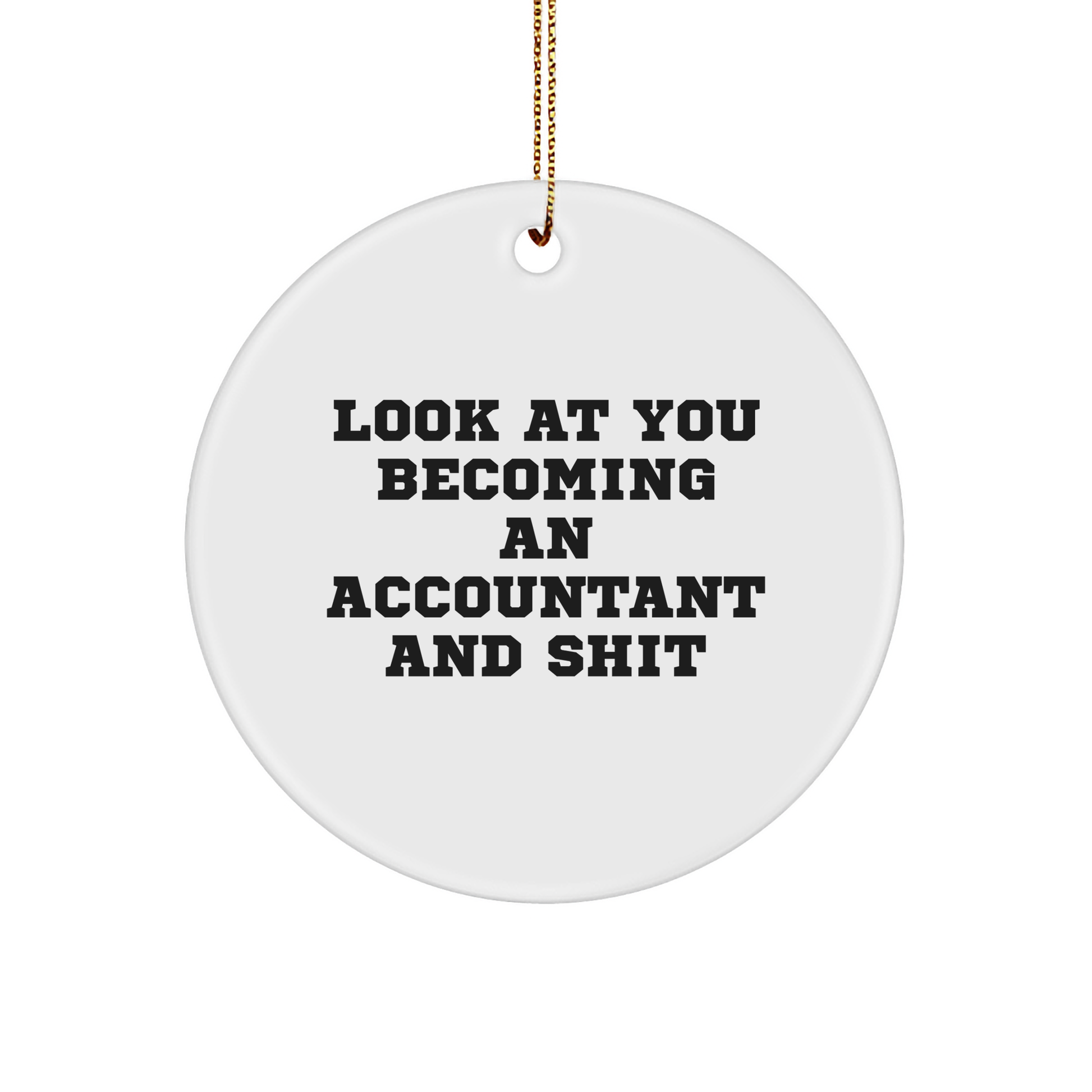 Funny Accountant Gifts, 'Look At You Becoming An Accountant And Shit' Circle Ornament, Christmas Unique Gifts from Friends, Coworkers, Family - Image 1