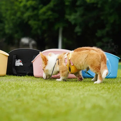 EVA Pet Cat Dog Bag Comfortable Open Pocket Outdoor Travel Portable pet Handle backpack Waterproof Easy Cleaning Pet Carrying - Cheeky Fantail Finds