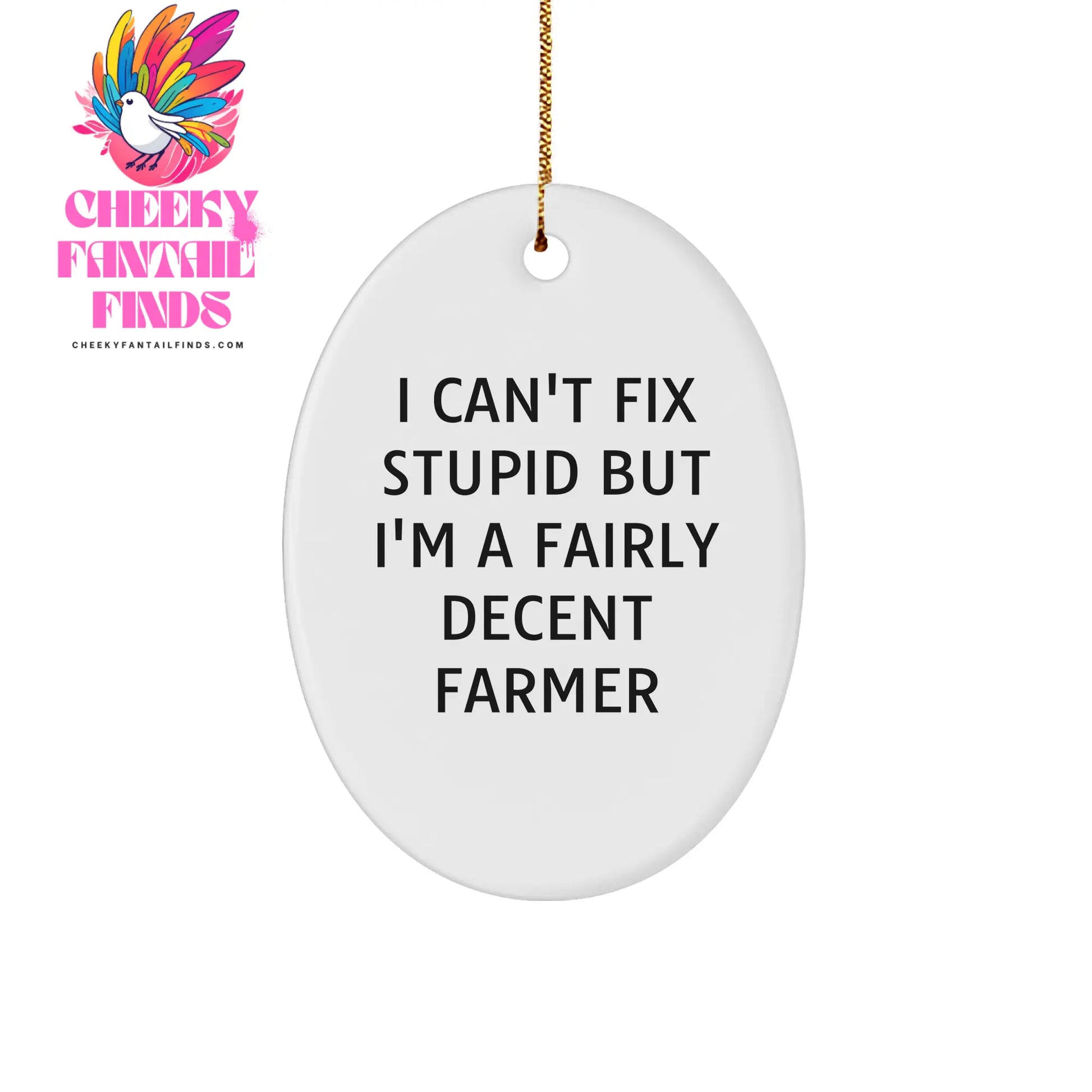 Farmer Oval Ornament - I Can't Fix Stupid But I'm A Fairly Decent Farmer Gifts from Friends to Farmer Christmas Unique Gifts - Image 1