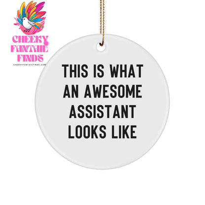 Funny Assistant Gifts from Friends for Christmas - 'This Is What An Awesome Assistant Looks Like' Circle Ornament - Image 1