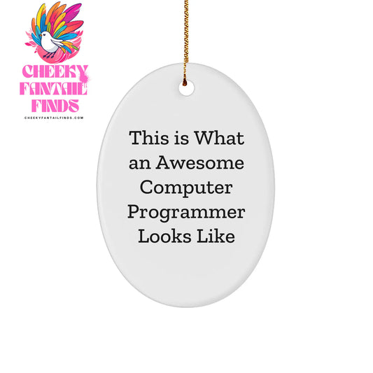 Funny Computer Programmer Gifts - This Is What An Awesome Programmer Looks Like Oval Ornament for Men, Women, Friends, Coworkers, Family - Christmas Unique Gifts from Friends to Computer Programmer - Image 1