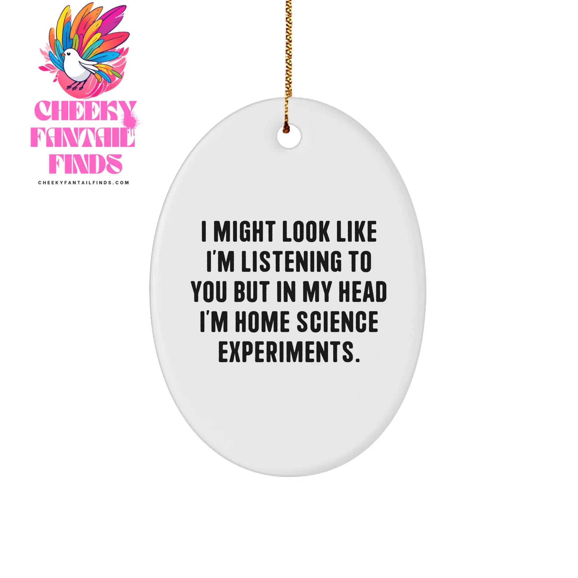 Funny Home Science Experiments Oval Ornament Gifts: Unique Christmas Memorable Presents from Loved Ones for Home Science Experiment Enthusiasts - Image 1