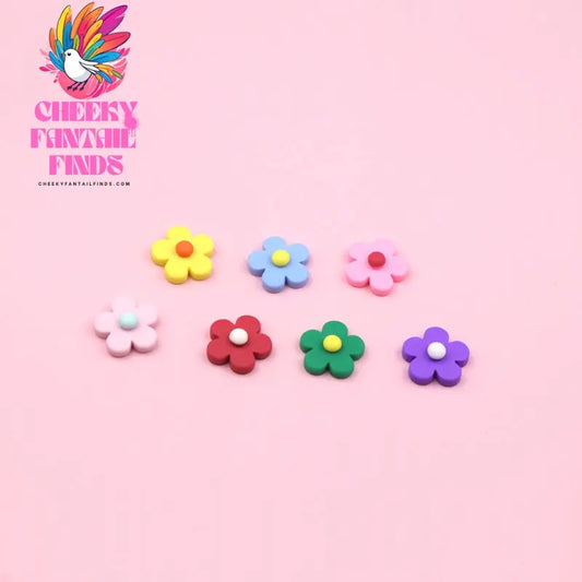 Hole Shoes Shoe Flower Decoration Accessories Cheeky Fantail Finds