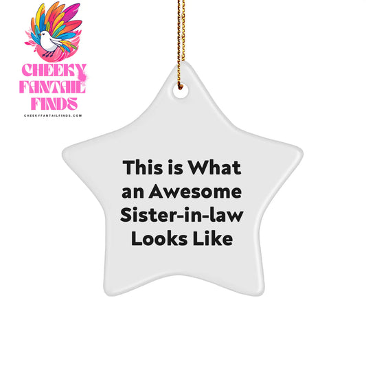 Inspirational Sister-in-law Decor Gift This Is What An Awesome Sister-in-law Looks Like, Funny Star Ornament Gifts for Sister-in-law at Christmas, Unique Gifts from Family to Sister-in-law - Image 1
