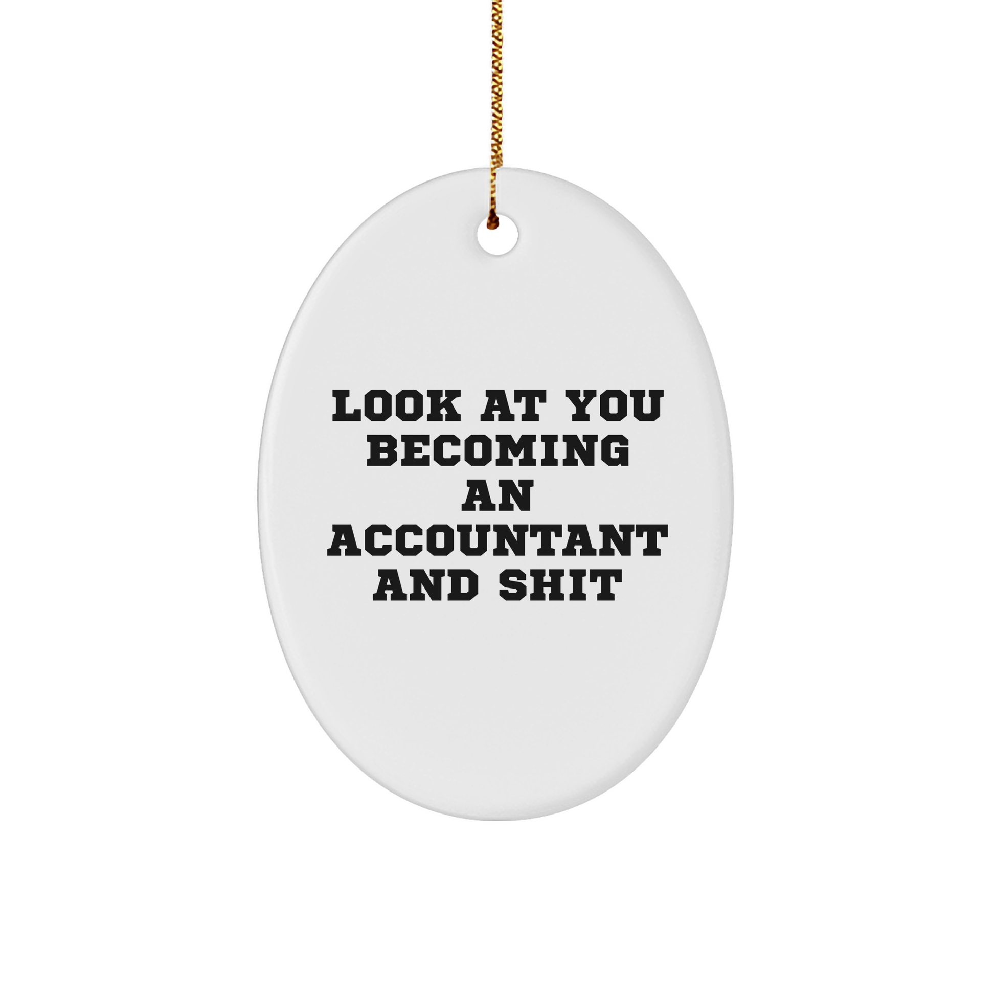 Funny Accountant Gifts for Him or Her, Oval Ornament with 'Look At You Becoming An Accountant And Shit' Quote, Gifts from Friends or Family, Christmas Unique Gifts - Image 1