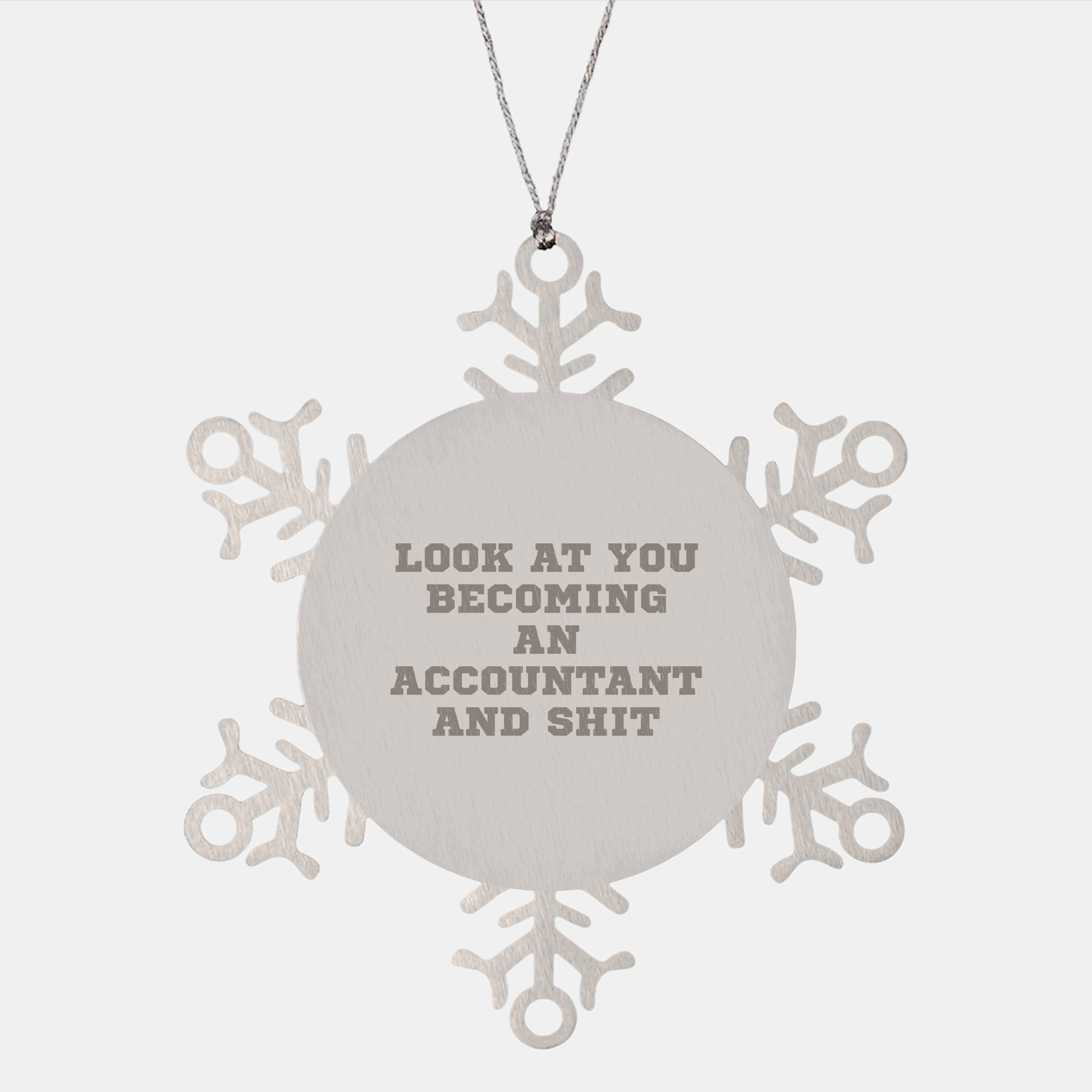 Funny Accountant Gifts for Him from Friends - Snowflake Ornament, 'Look At You Becoming An Accountant And Shit', Christmas Unique Gifts for Men, Coworkers, and Family - Image 1