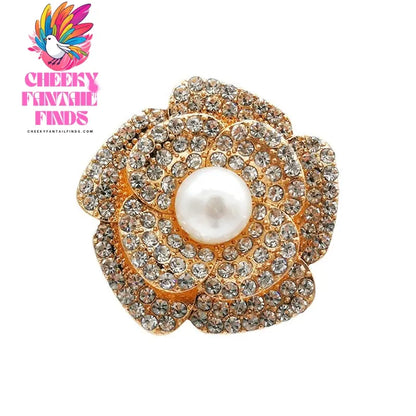 Shoes Metal Shoe Ornament Buckle Accessories Cheeky Fantail Finds