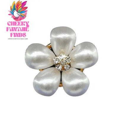 Shoes Metal Shoe Ornament Buckle Accessories Cheeky Fantail Finds