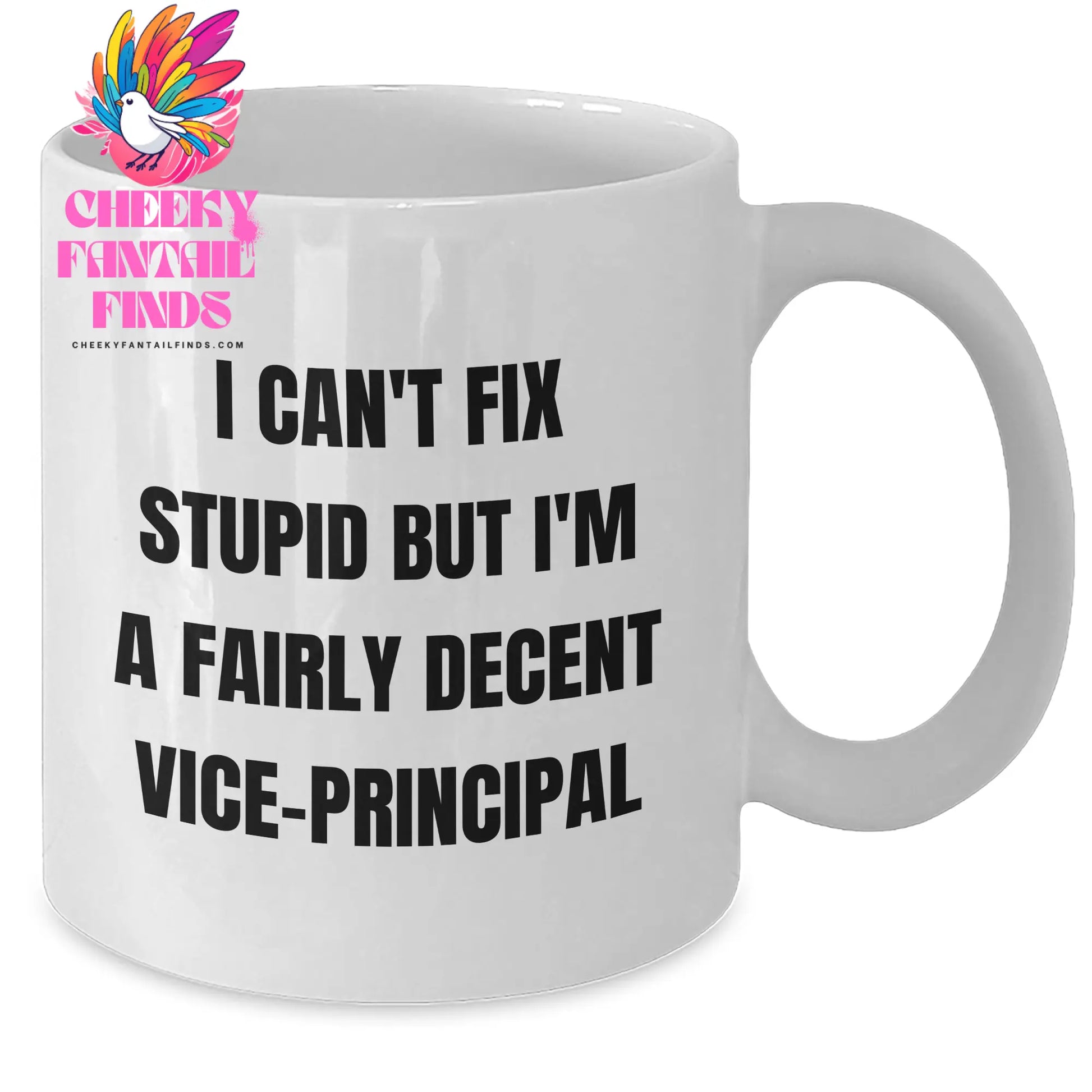 Vice-principal Humor Gifts from Friends - Funny White Coffee Mug for Mother's Day - 'I Can't Fix Stupid But I'm A Fairly Decent Vice-principal' - Additional