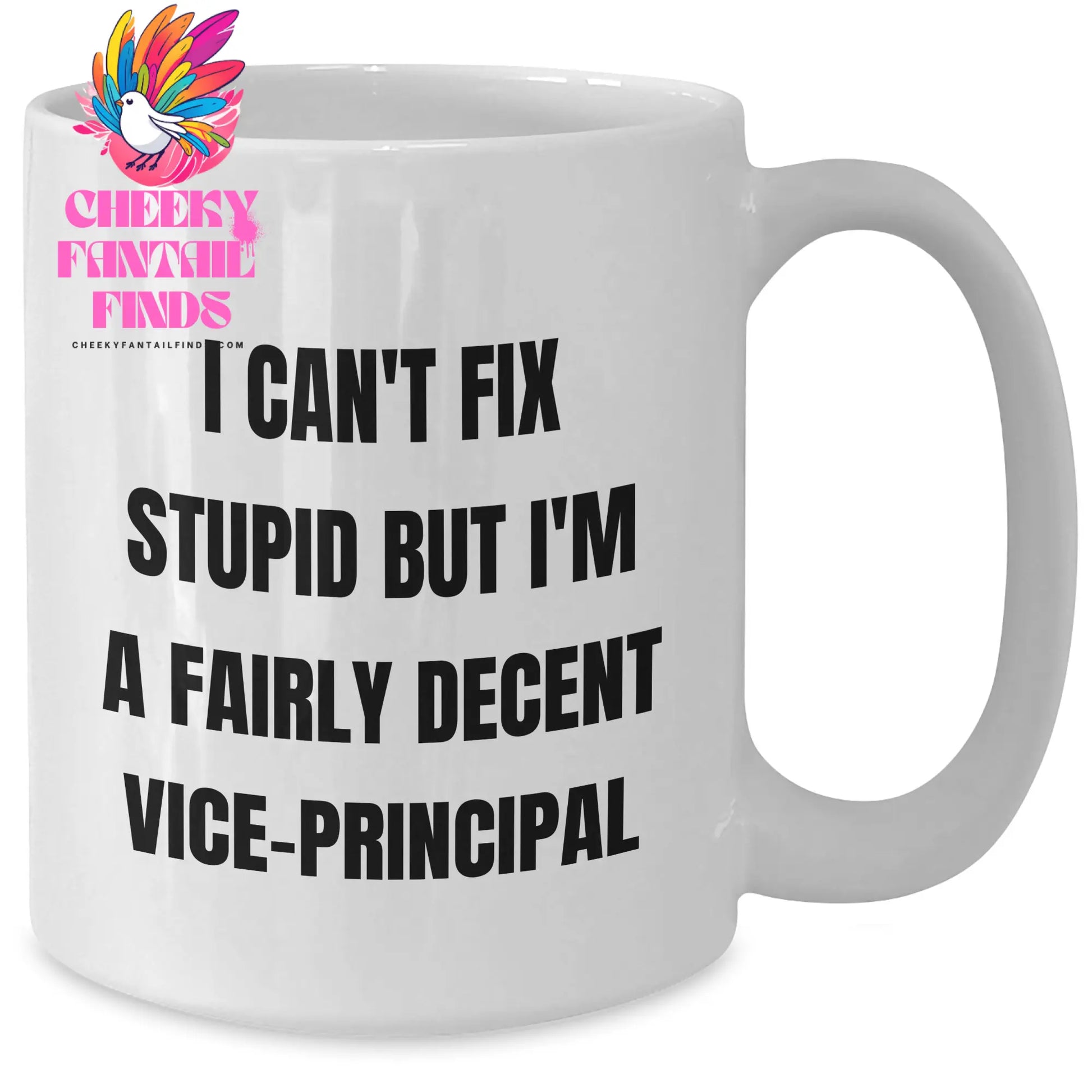 Vice-principal Humor Gifts from Friends - Funny White Coffee Mug for Mother's Day - 'I Can't Fix Stupid But I'm A Fairly Decent Vice-principal' - Additional