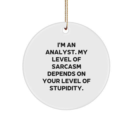Funny Analyst Quote Circle Ornament, Gifts from Friends and Family, Perfect for Christmas, 'I'm An Analyst. My Level Of Sarcasm Depends On Your Level Of Stupidity.' - Image 1